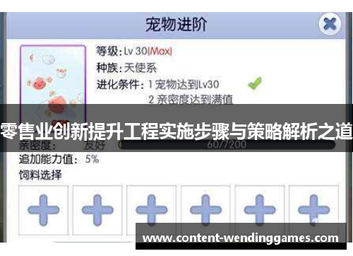 零售业创新提升工程实施步骤与策略解析之道