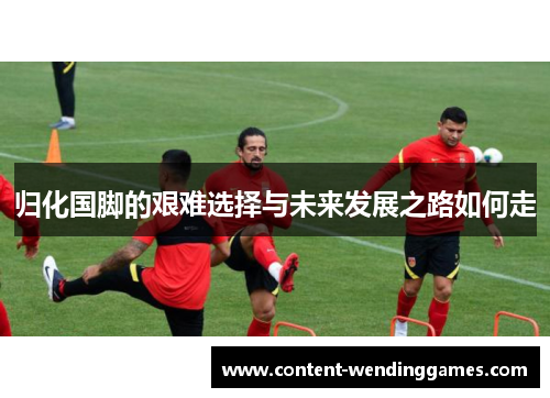 归化国脚的艰难选择与未来发展之路如何走